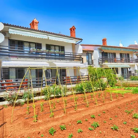 Apartment Fuer 4 Personen Ca 50 Qm In Fazana, Istrien Istrische Riviera *